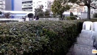 58wanwan在线a 日本一区的日本道中文字幕久久一区 - 国产亚洲一区二区手机在线观看
